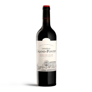 Château Grand-Pontet 2010 - 75cl