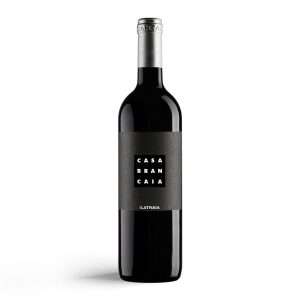 Brancaia Ilatraia 2020 - 75cl