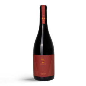 QPA Prova nº7 Matéria-Prima Tinto 2022 - 75cl