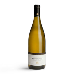 Domaine Alain Chavy Bourgogne Blanc 2022 - 75cl