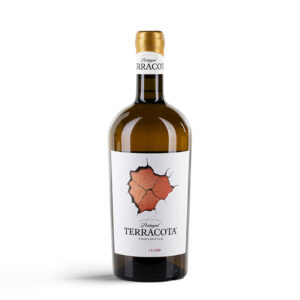 Terracota Branco